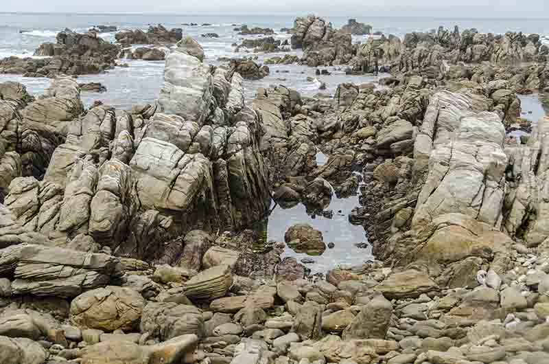 65 - Sudafrica - parque nacional Agulhas - cabo Agulhas - paisaje